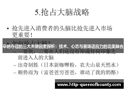 辛纳夺冠的三大关键因素探析：技术、心态与赛场适应力的完美融合